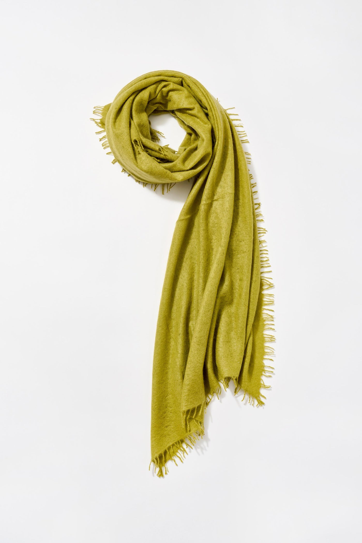 Cashmere Felted Stole in Lentil Sprout